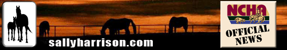 sallyharrison.com