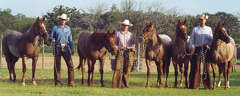 Peptoboonsmal 2-year-olds Peptoboonsmal 2-year-olds