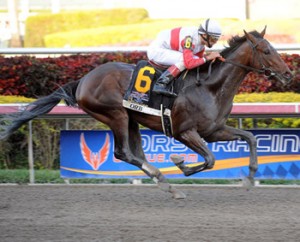 Orb winning Florida Derby Orb