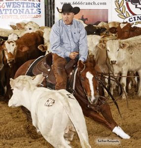 Mike Wood on Buzzted marked 224 in the $15,000 Novice go-round. Ted Petit photo.
