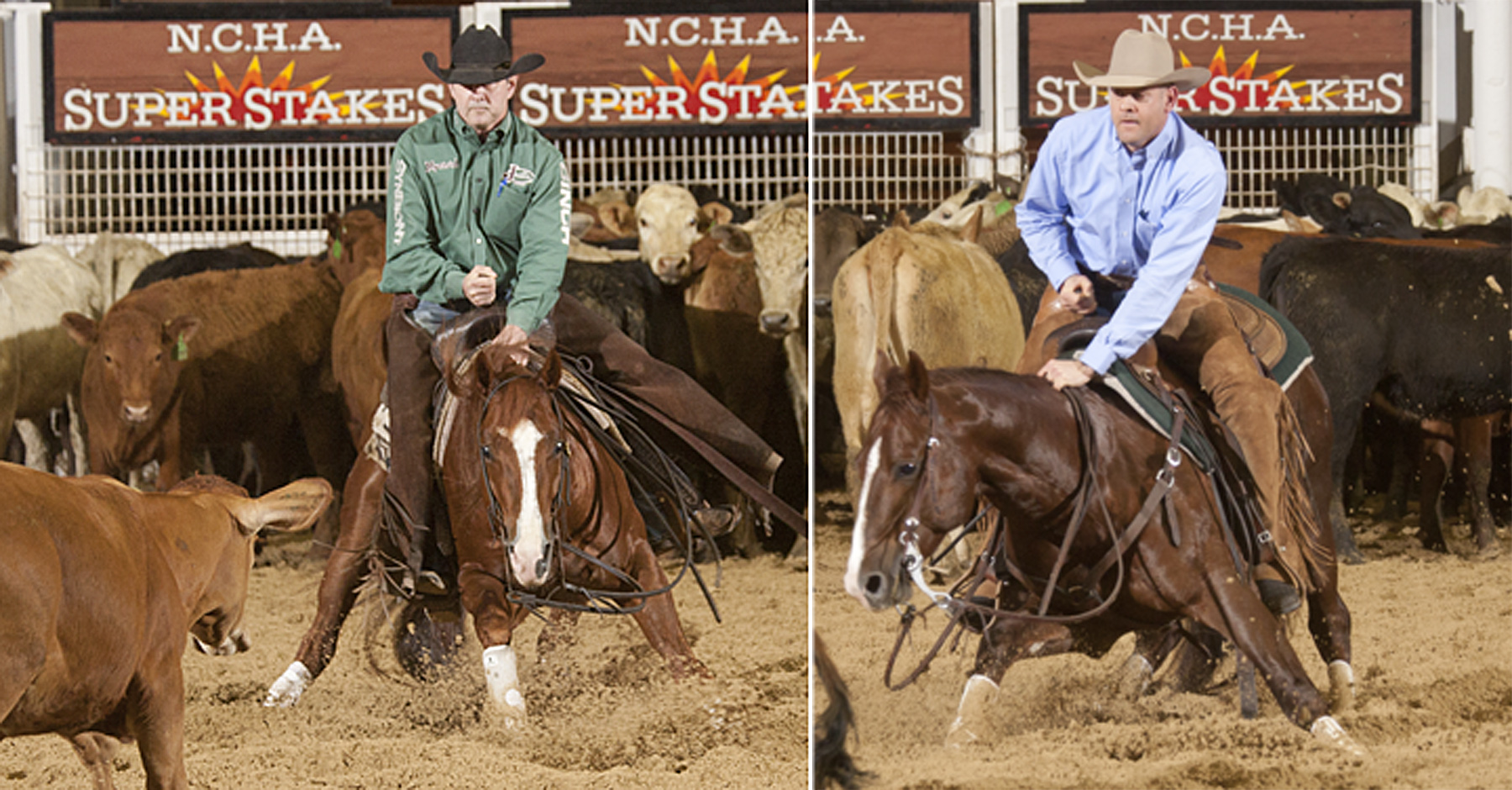 Last year, Smooth Talkin Style and Dont Stopp Believin were co-champions of the NCHA Super Stakes.