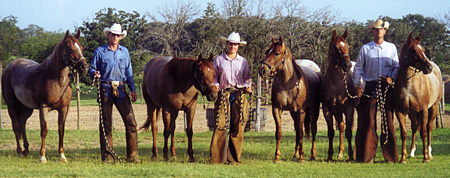 S Ranch Mares