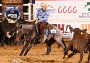 bill walsh ncha amateur